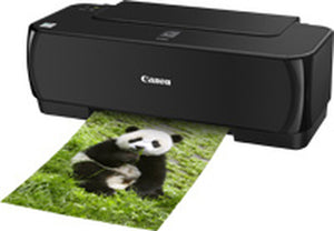 Canon PIXMA IP1900 printer